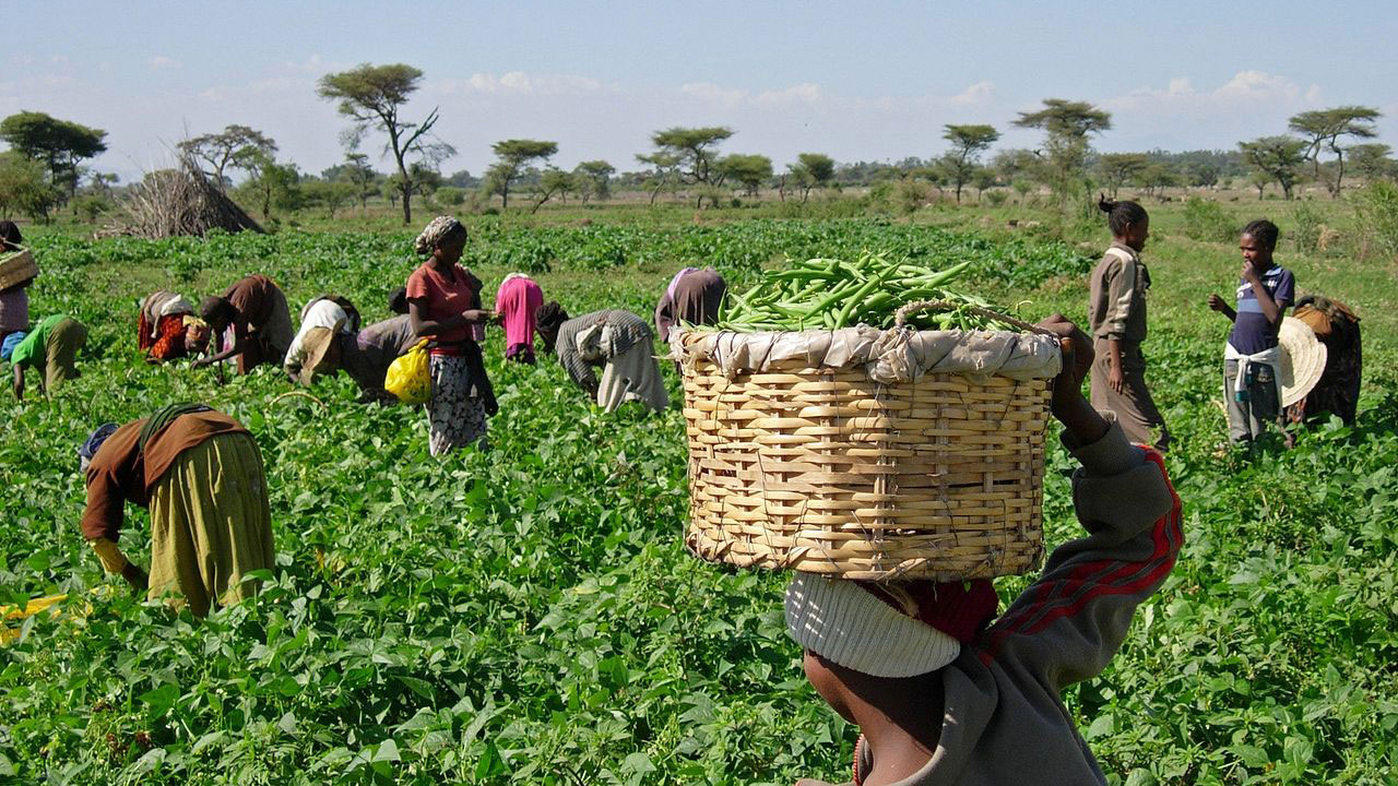 One place where you buy and sell farm products